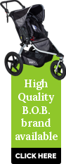 Buena Vista Stroller Rentals