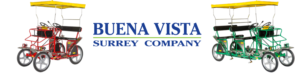 Buena Vista Surrey Company